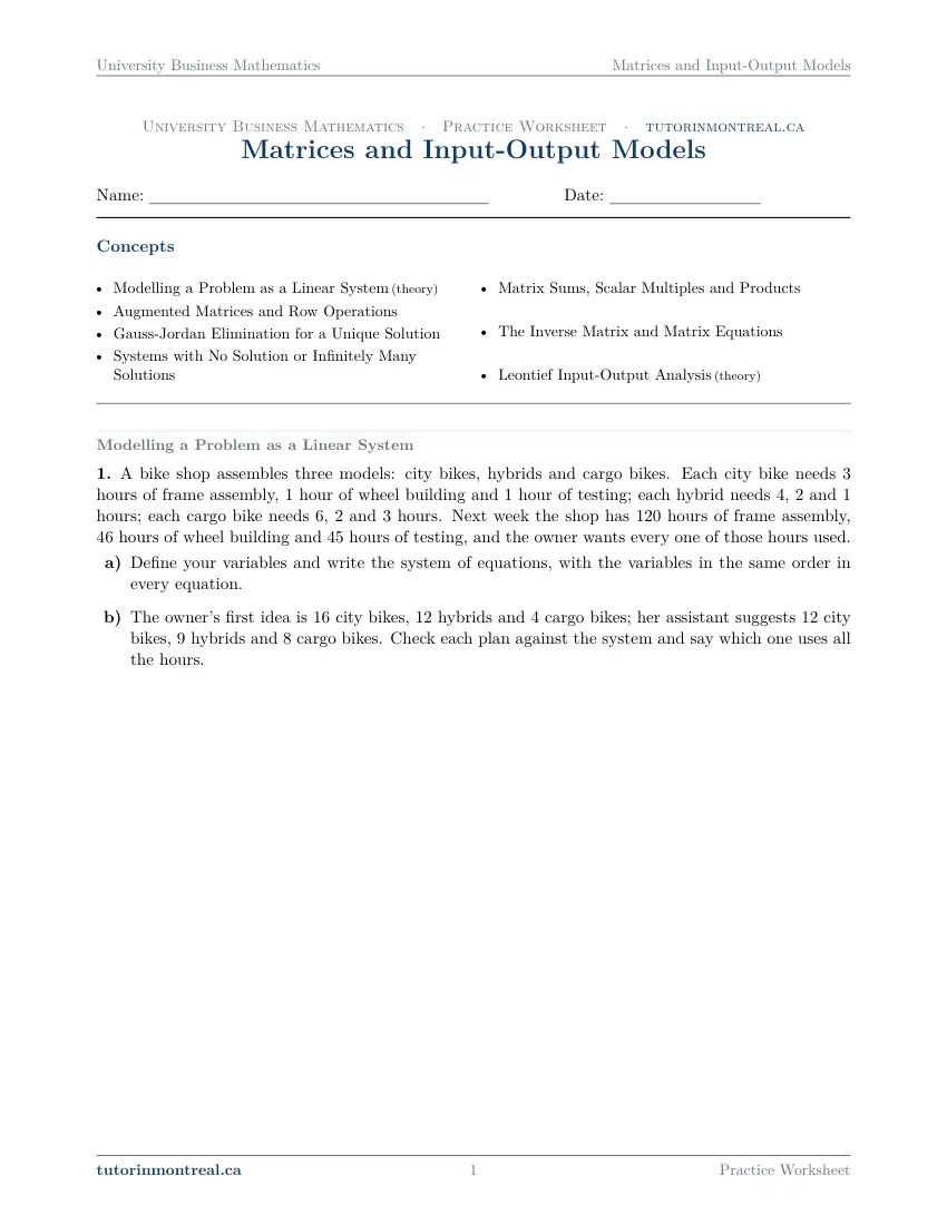 Page 1 of the University Business Math Matrices and Input-Output Models practice worksheet
