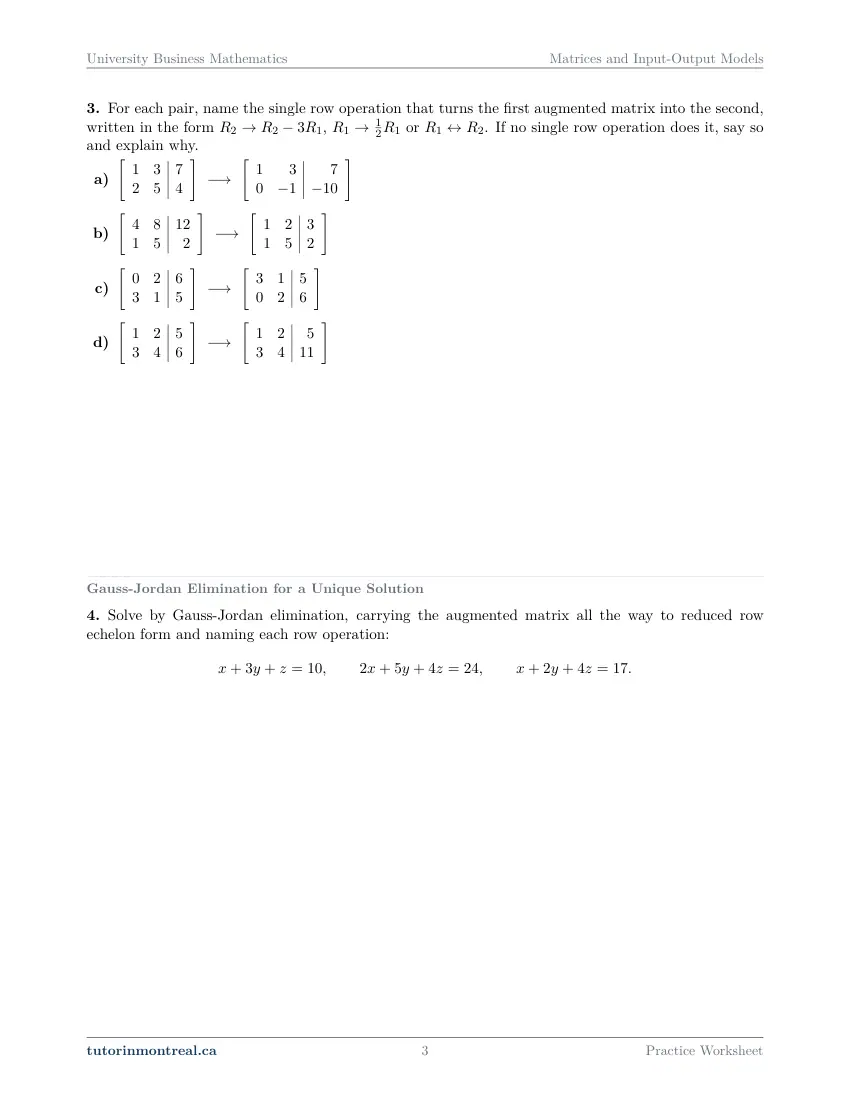 Page 3 of the University Business Math Matrices and Input-Output Models practice worksheet