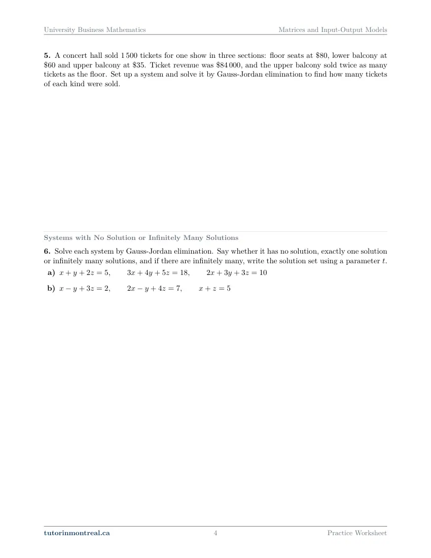 Page 4 of the University Business Math Matrices and Input-Output Models practice worksheet