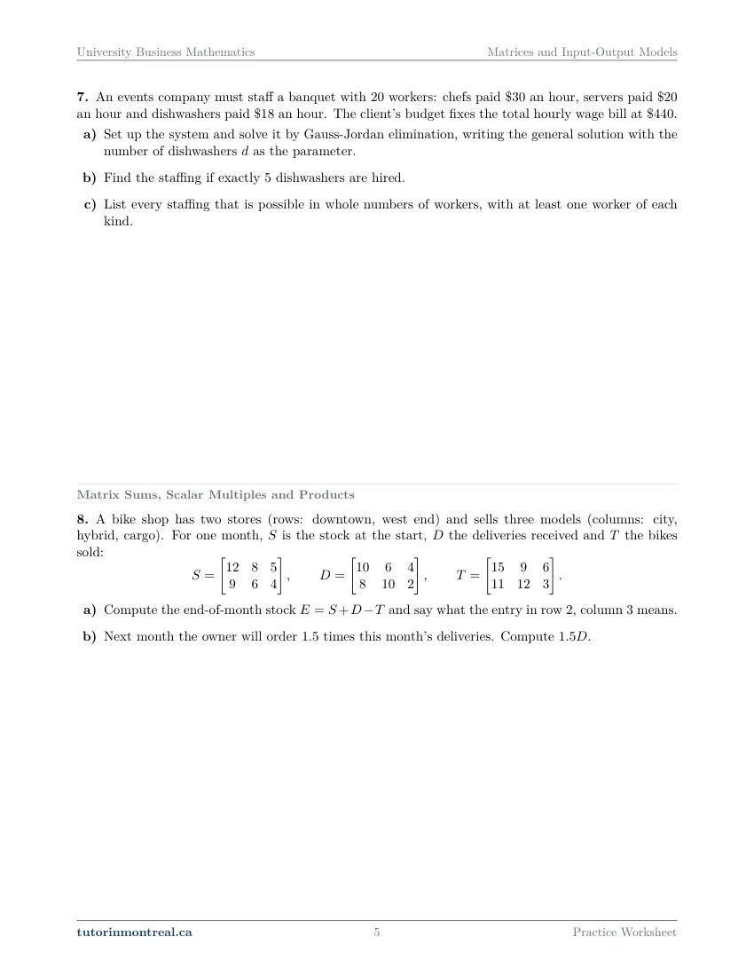 Page 5 of the University Business Math Matrices and Input-Output Models practice worksheet