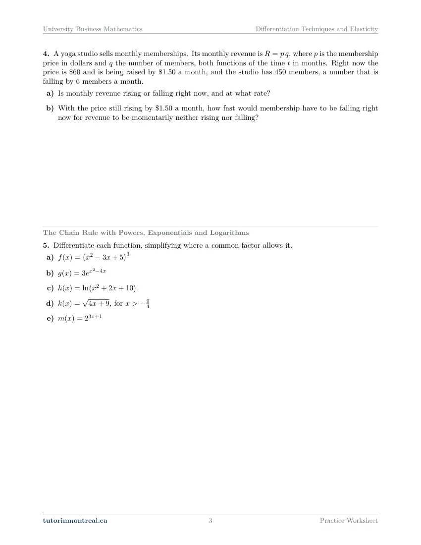 Page 3 of the University Business Math Differentiation Techniques and Elasticity practice worksheet