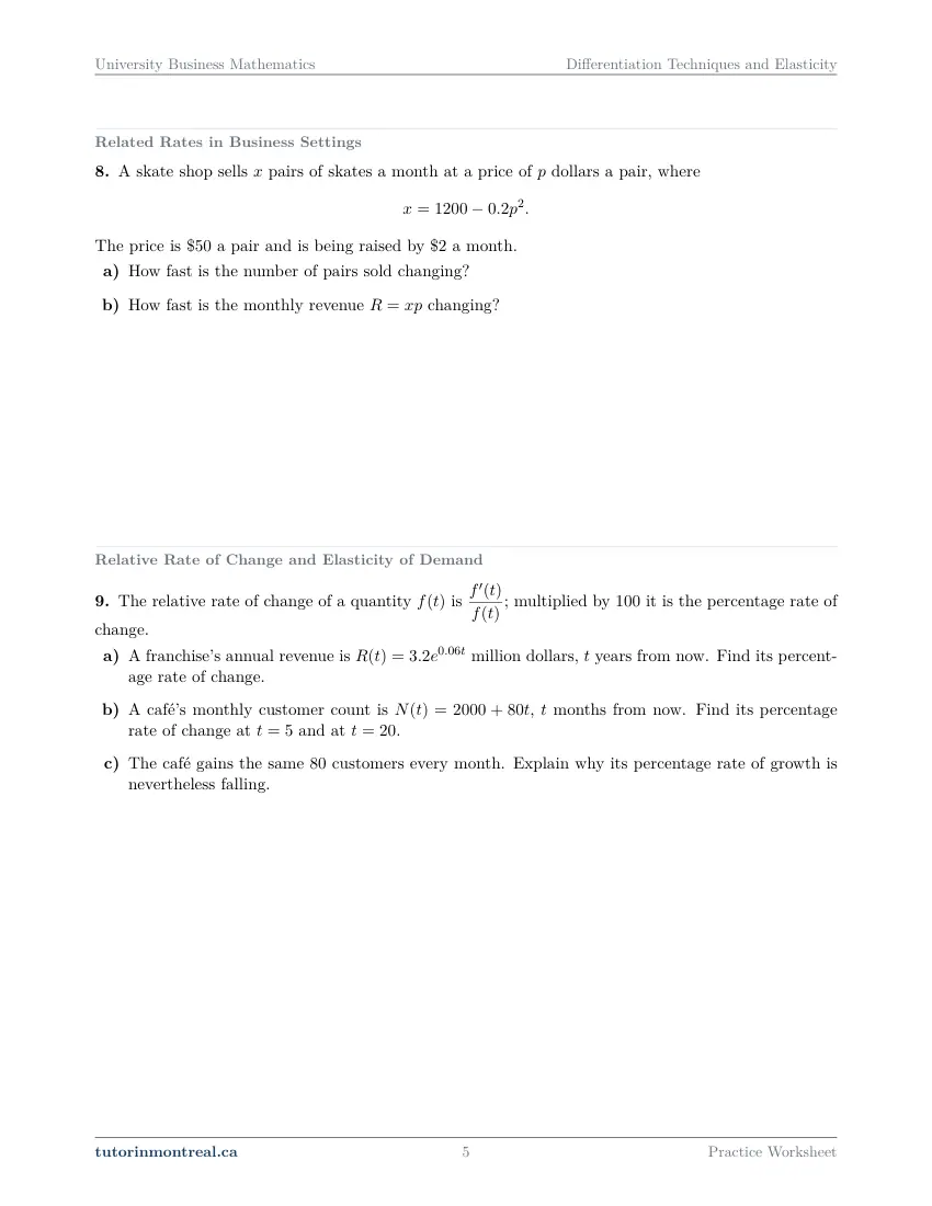 Page 5 of the University Business Math Differentiation Techniques and Elasticity practice worksheet
