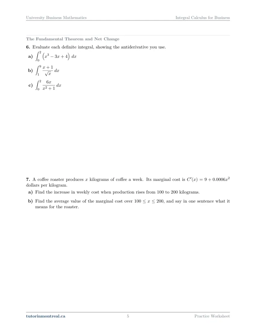 Page 5 of the University Business Math Integral Calculus for Business practice worksheet