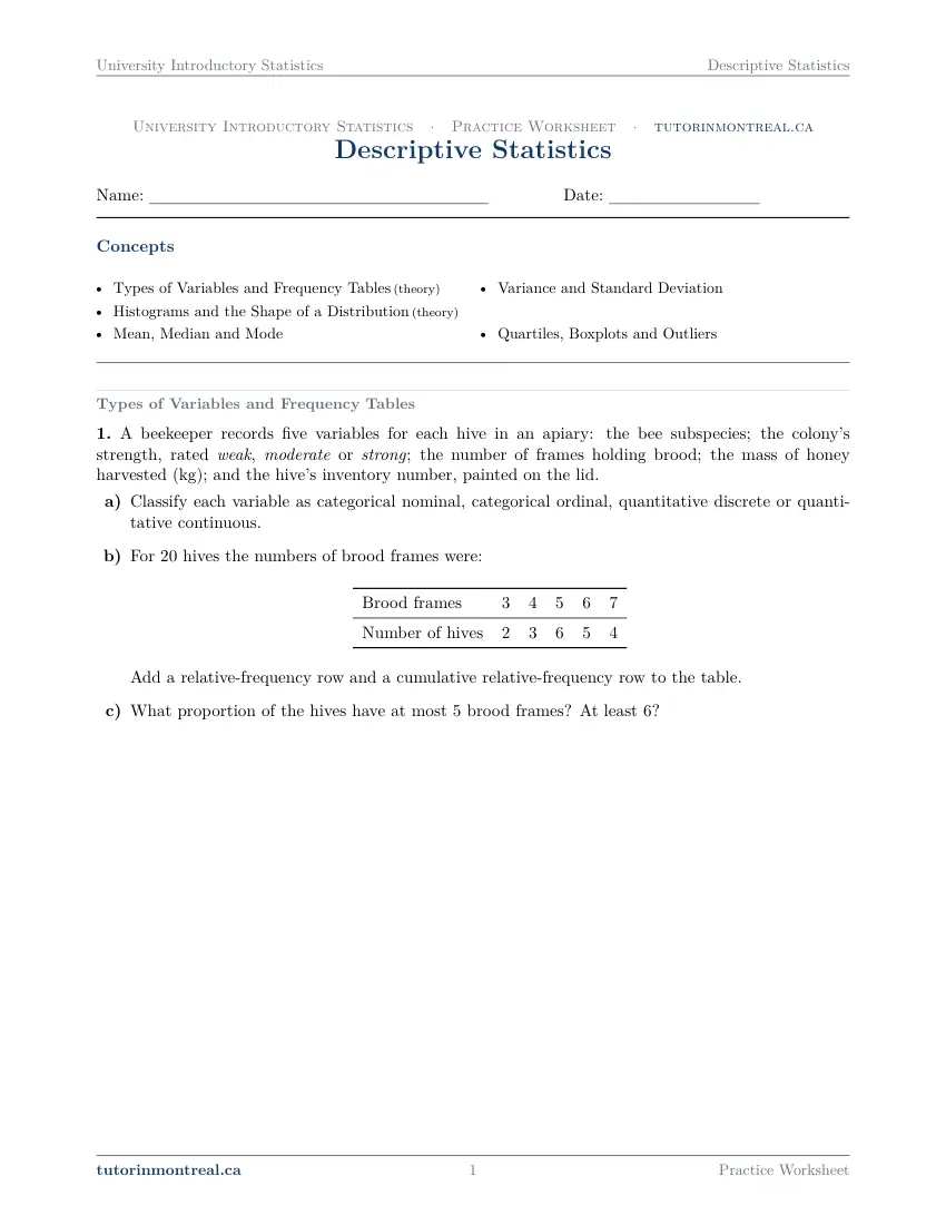 Page 1 of the University Introductory Statistics Descriptive Statistics practice worksheet