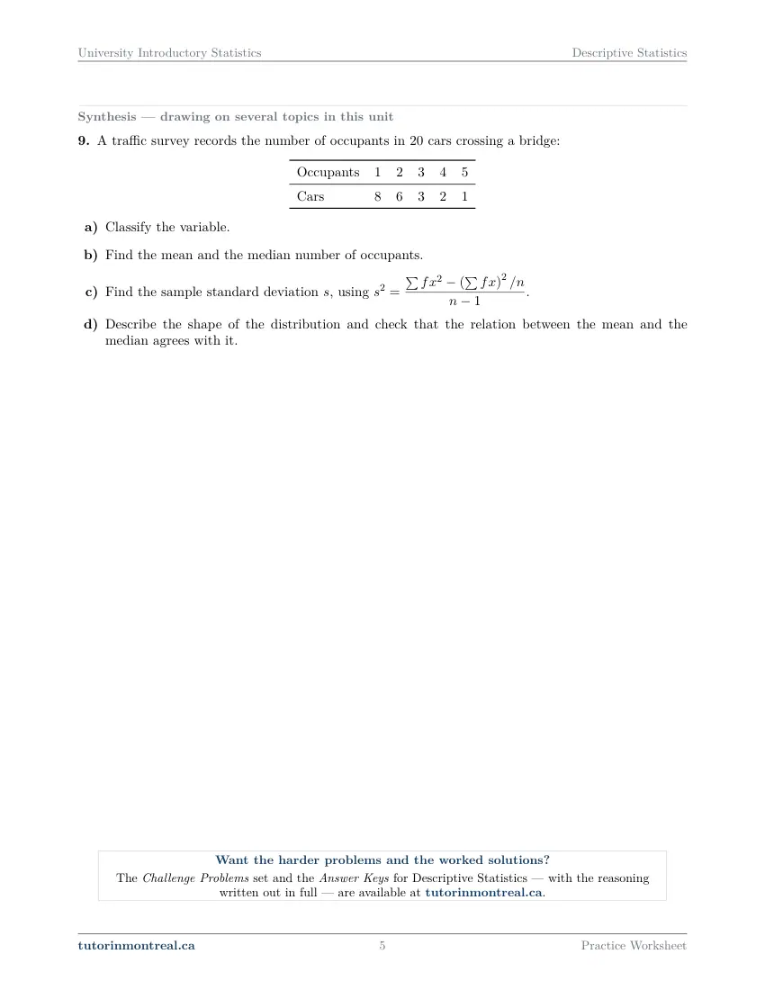 Page 5 of the University Introductory Statistics Descriptive Statistics practice worksheet