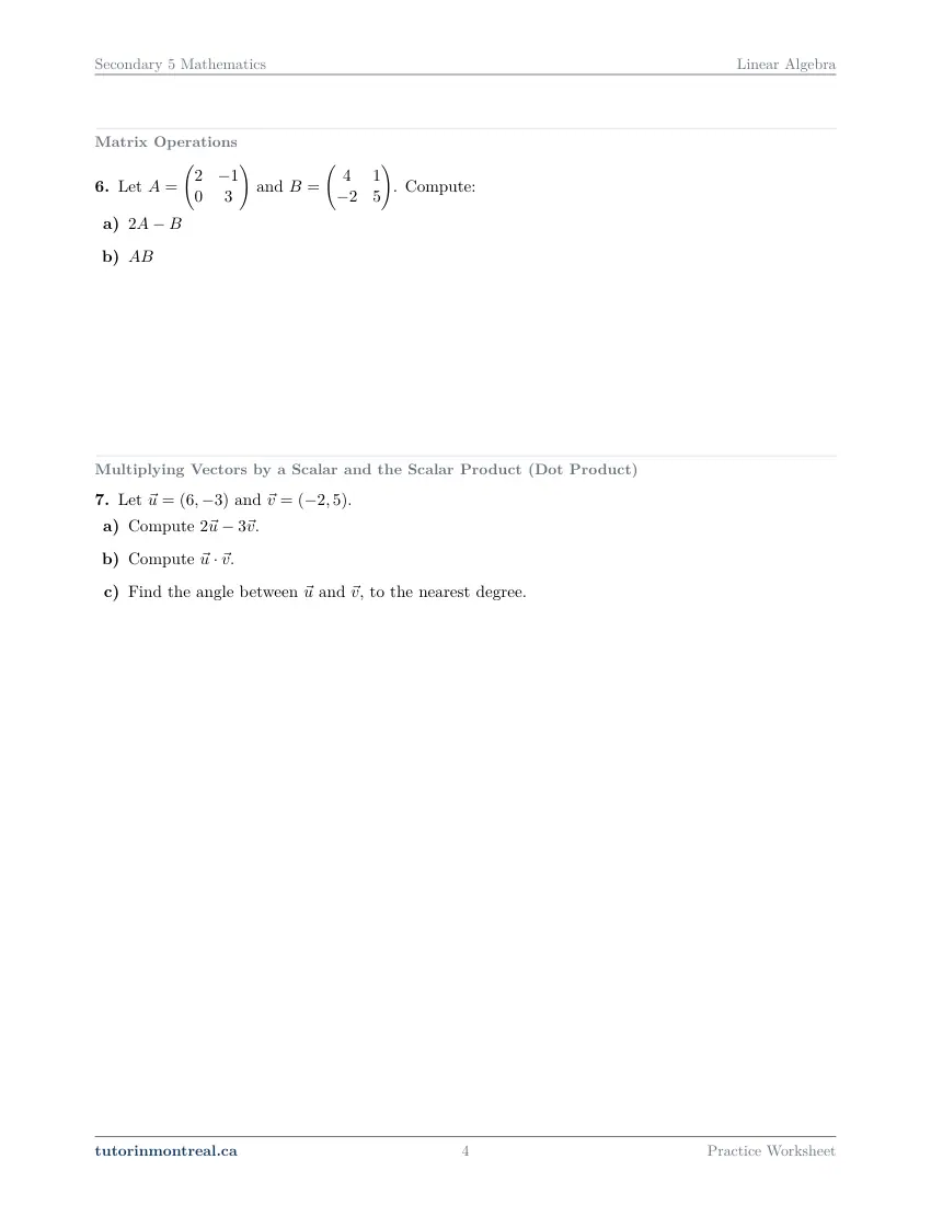 Page 4 of the Secondary 5 Math Linear Algebra practice worksheet