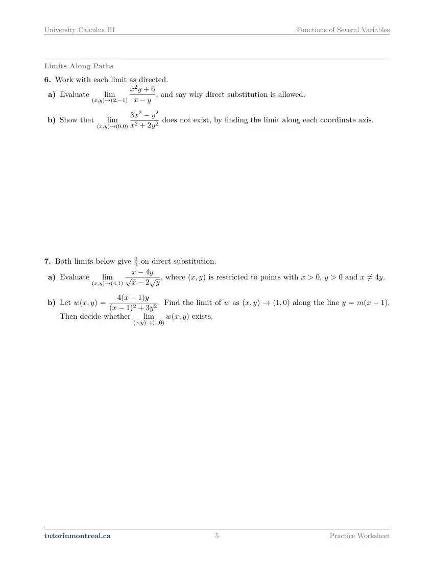 Page 5 of the University Calculus III Functions of Several Variables practice worksheet