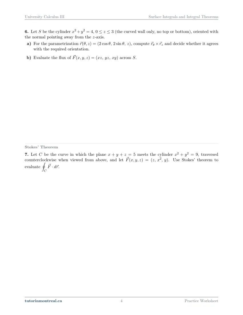 Page 4 of the University Calculus III Surface Integrals and Integral Theorems practice worksheet