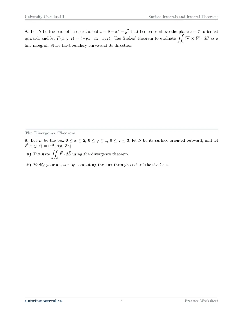Page 5 of the University Calculus III Surface Integrals and Integral Theorems practice worksheet