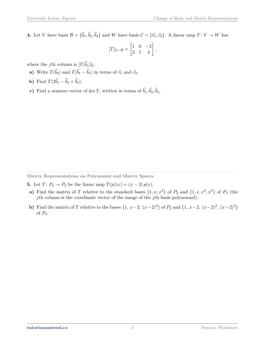 Page 4 of the University Linear Algebra Change of Basis and Matrix Representations practice worksheet