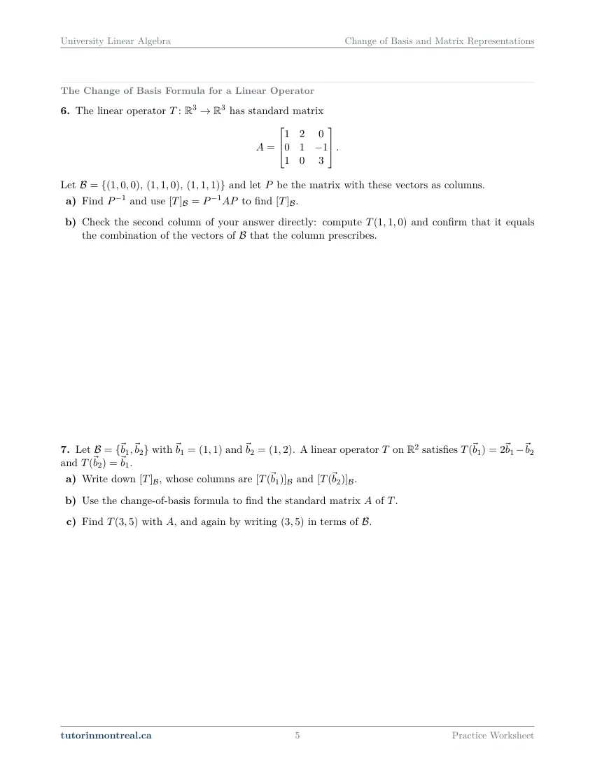 Page 5 of the University Linear Algebra Change of Basis and Matrix Representations practice worksheet