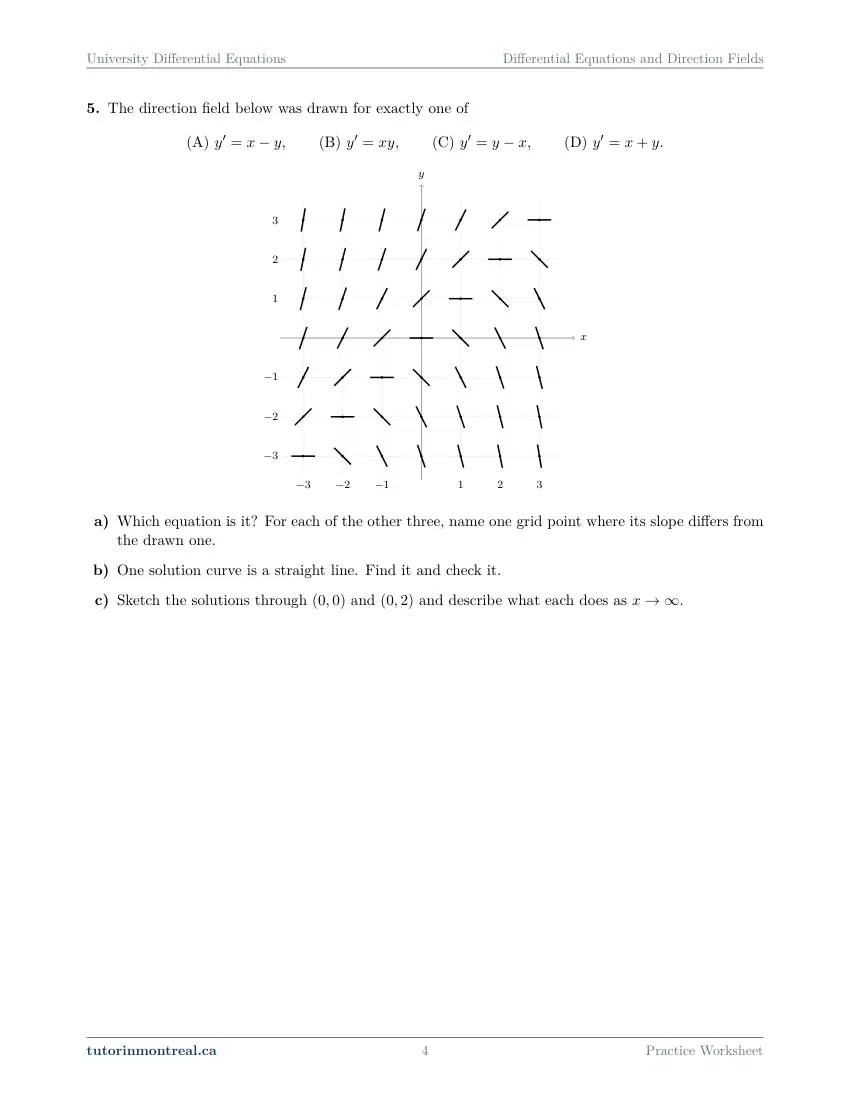 Page 4 of the University Differential Equations Differential Equations and Direction Fields practice worksheet