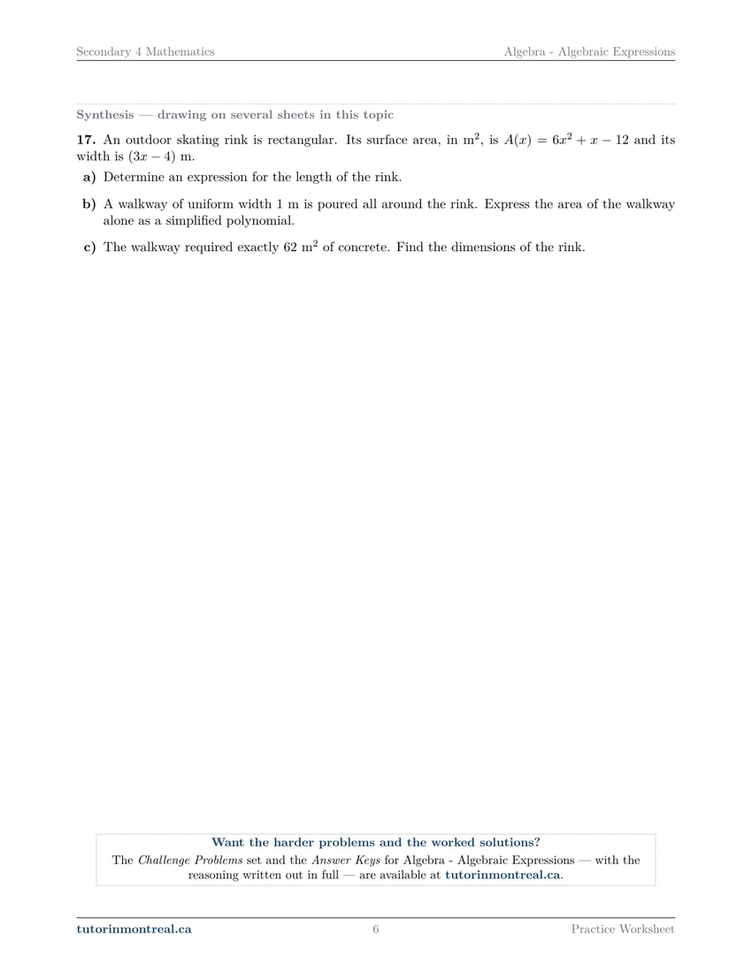 Worksheet page 6: question 17, the skating rink synthesis problem